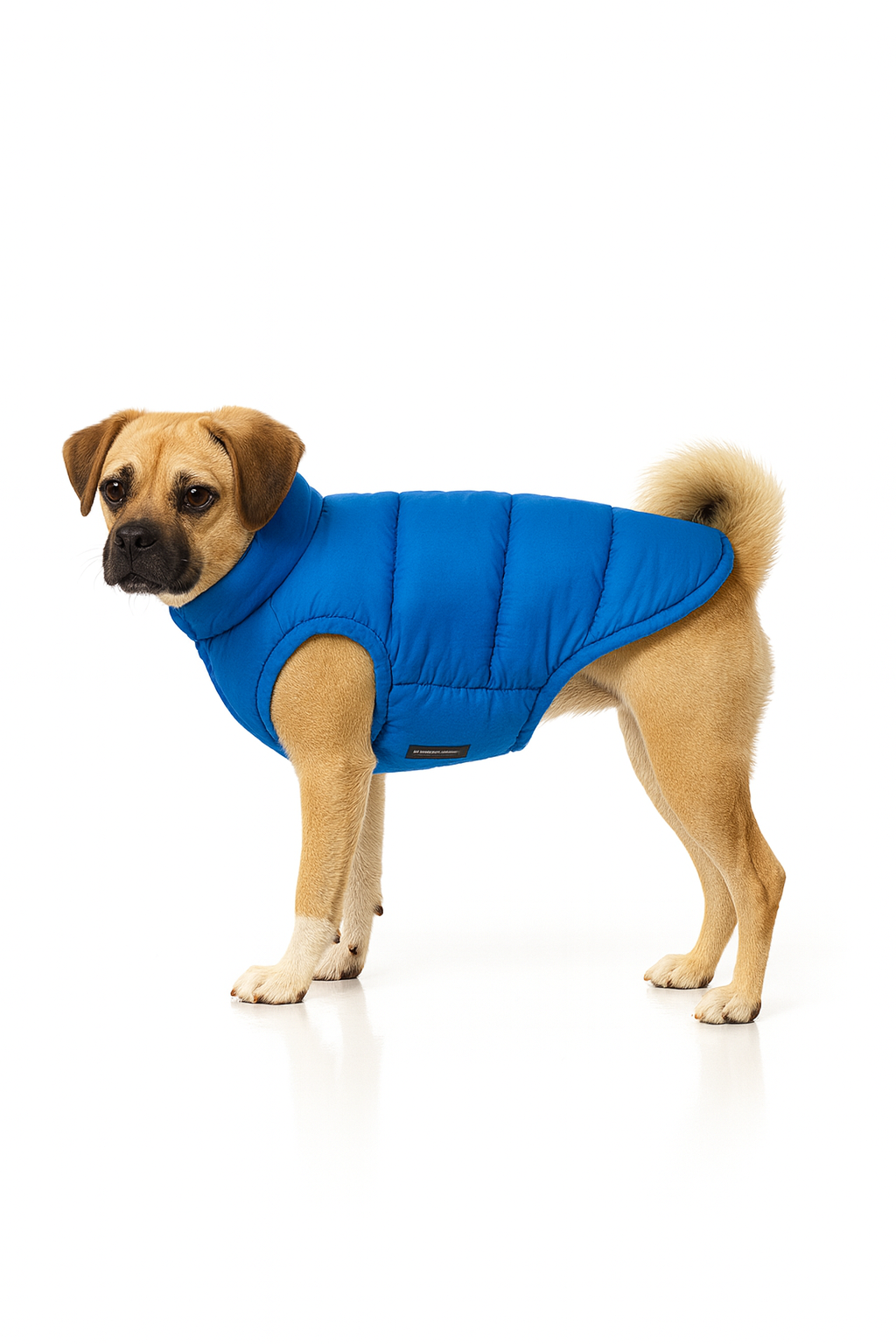 Canada Pooch – Steppweste in Blau, Schwarz und Rosa