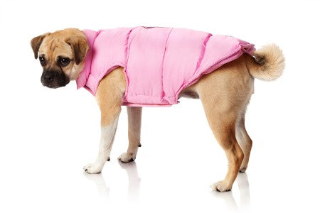 Canada Pooch – Steppweste in Blau, Schwarz und Rosa