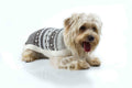 Aspen Chic Pullover aus Baby-Alpakawolle