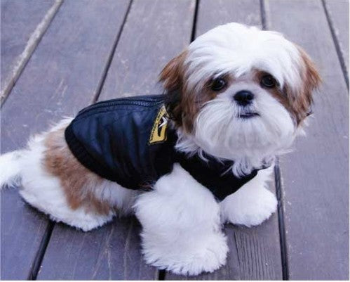 Gooby Bomberjacke für kleine Hunde