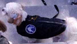 Gooby Bomberjacke für kleine Hunde