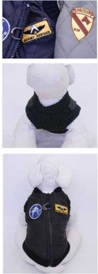 Gooby Bomberjacke für kleine Hunde