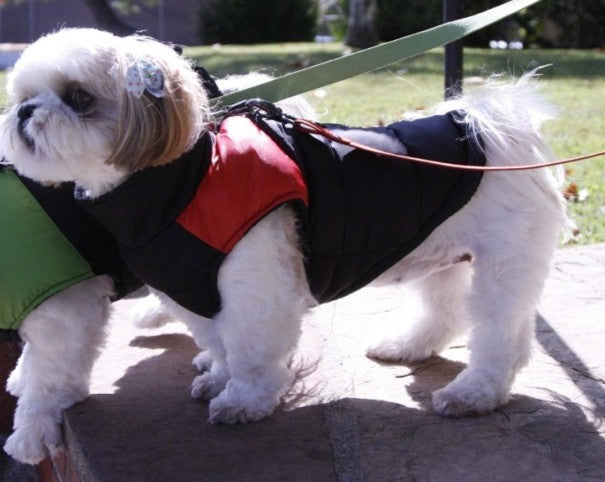 Gooby Steppweste mit Fleecefutter