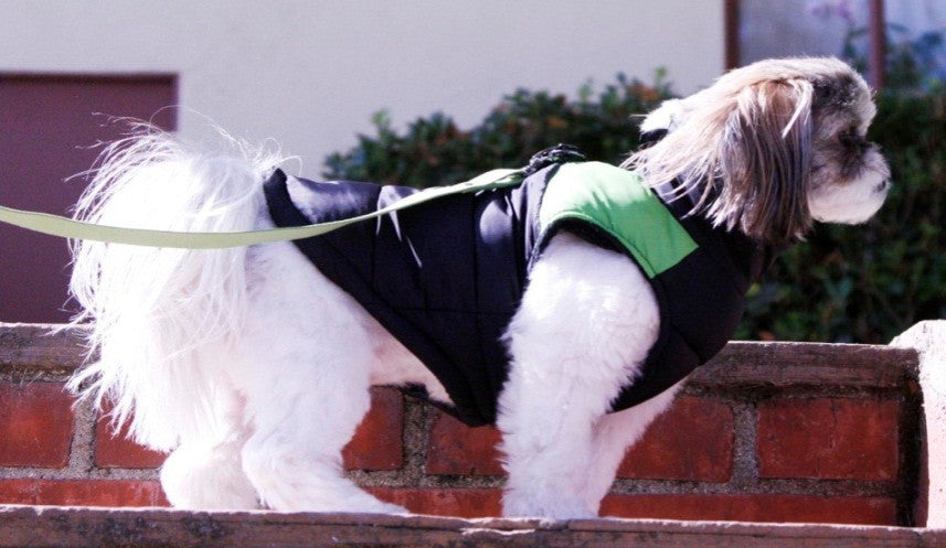 Gooby Steppweste mit Fleecefutter