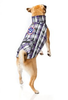 Canada Pooch – Regenmantel in Karomuster - Lila und Schwarz