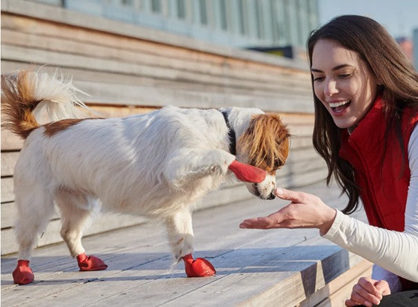 PAWZ Hundeschuhe