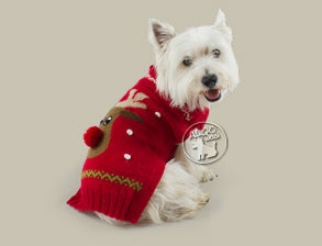 Red Rudolph Pullover aus Baby-Alpakawolle