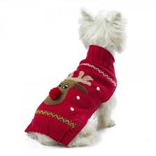 Red Rudolph Pullover aus Baby-Alpakawolle