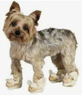 Lamm-Hausschuhe für Hunde