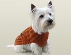 Sweet Wind Orange Pullover aus Baby-Alpakawolle