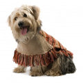 Autumn Joy Poncho aus Baby-Alpakawolle