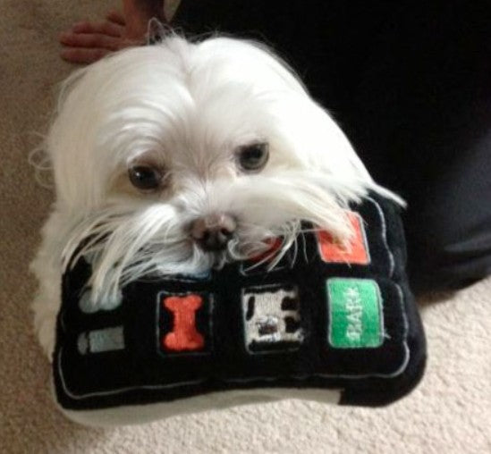 iBone Smartphone – Hundespielzeug